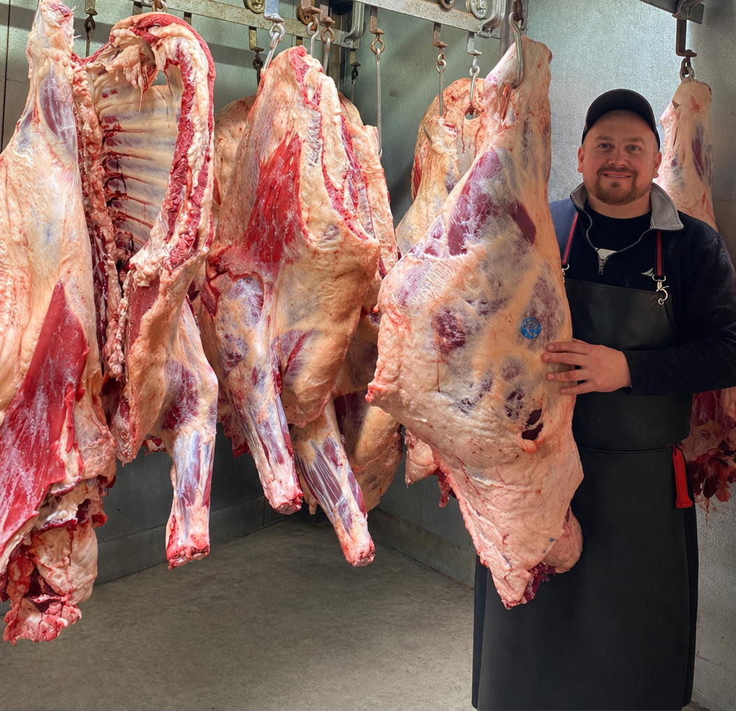 Smiling butcher in apron standing beside whole beef carcasses hanging in the cooler