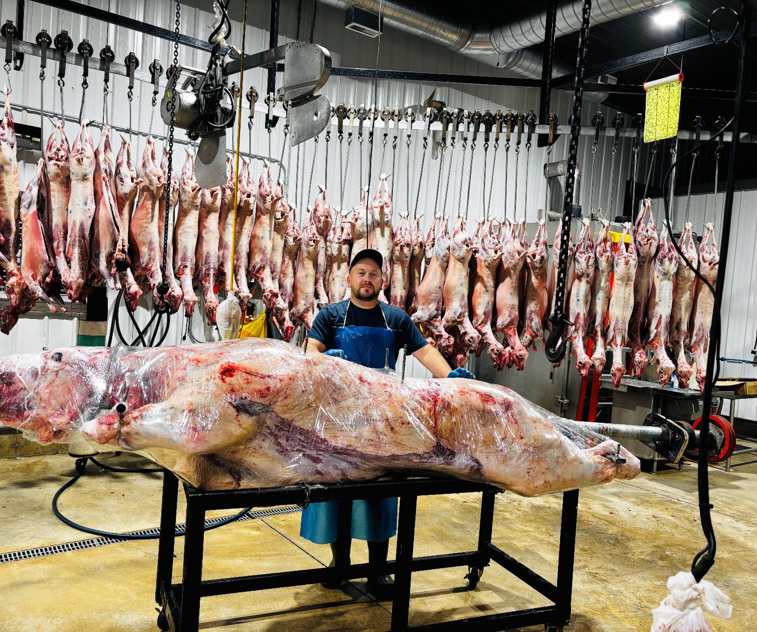 Alen at USA Halal Meat in front of rows of freshly processed halal lamb
