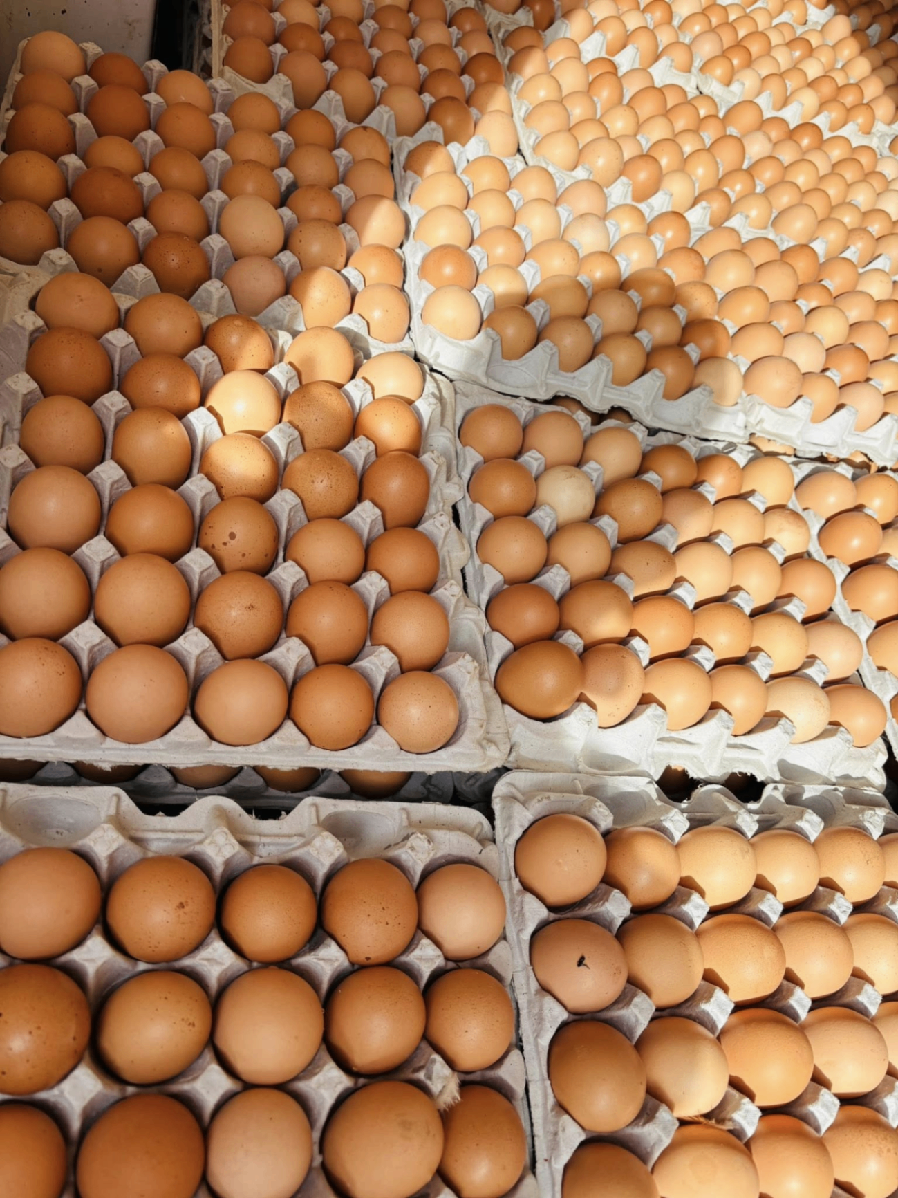 Stacked flats of fresh brown eggs at the market